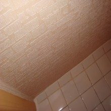 ������ ���������